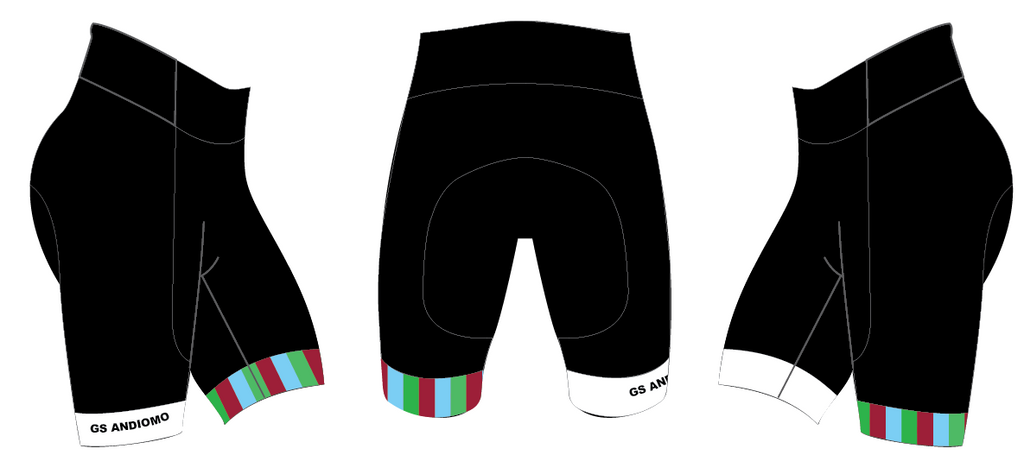 GS RL Women's Pro Shorts